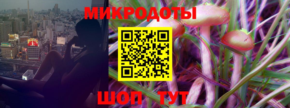 Псилоцибиновые грибы мицелий Бугуруслан